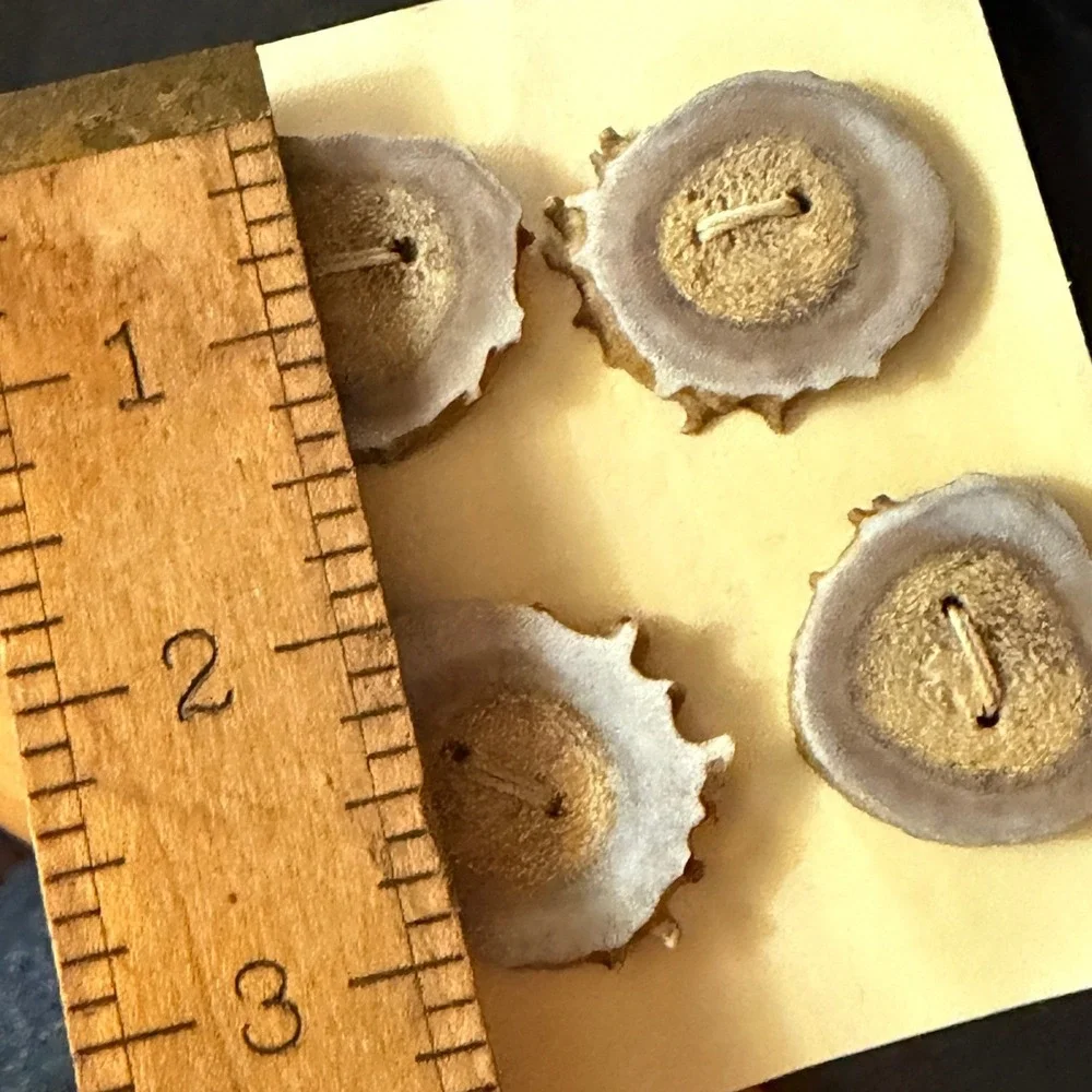 Wildlife Creations Kevin Juby Antler Buttons Set of 4 Handmade Casper Wyoming